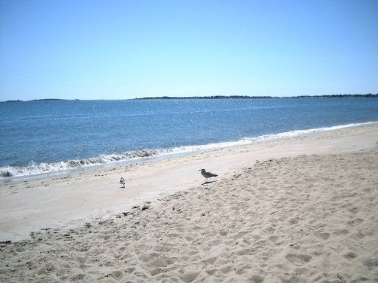 Ferry Beach State Park